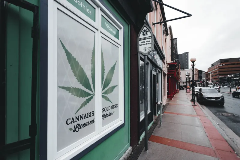 Chasing Control: The Hidden Costs of Backward Integration for Cannabis Retailers
